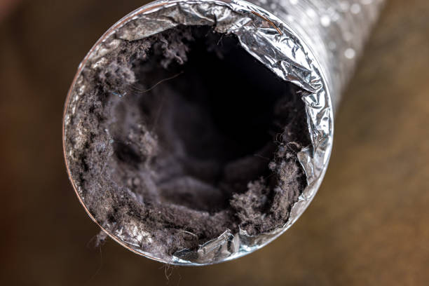 Best Air Duct Cleaning Near Me  in Lake Cherokee, TX